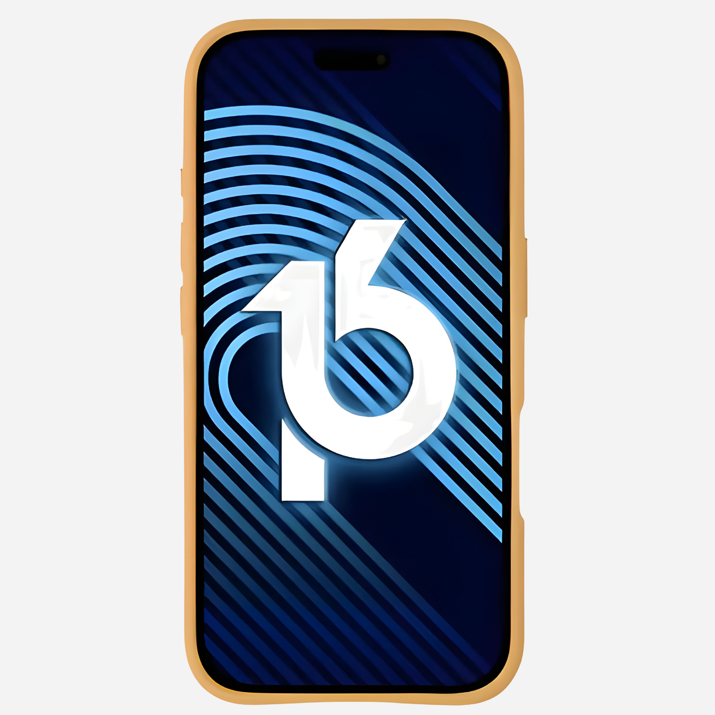 iPhone 16 Pro Max Hüllen